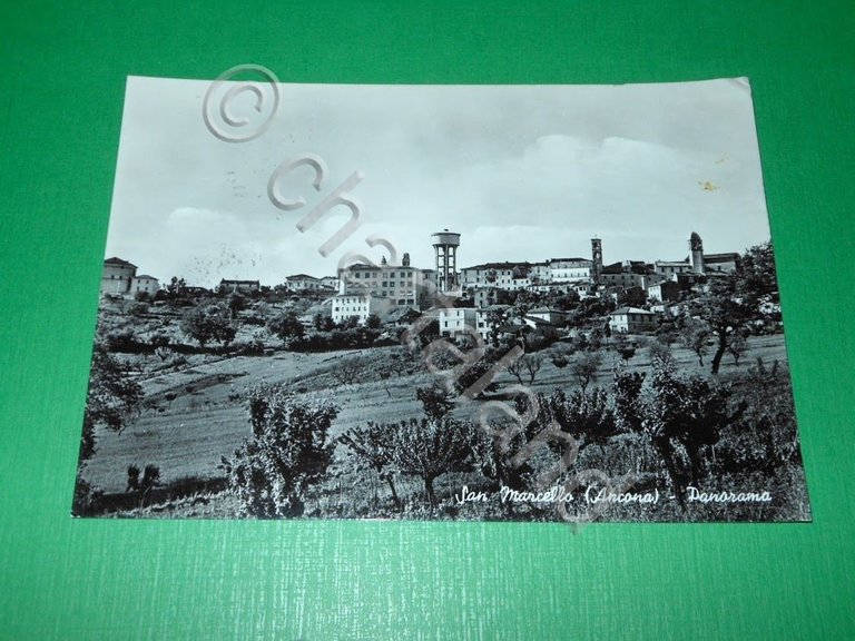 Cartolina San Marcello ( Ancona ) - Panorama 1959