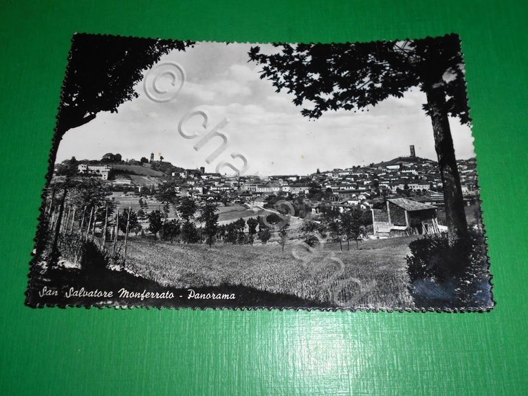 Cartolina San Salvatore Monferrato - Panorama 1959