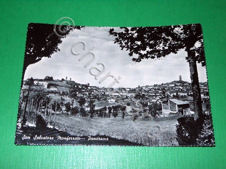 Cartolina San Salvatore Monferrato - Panorama 1961
