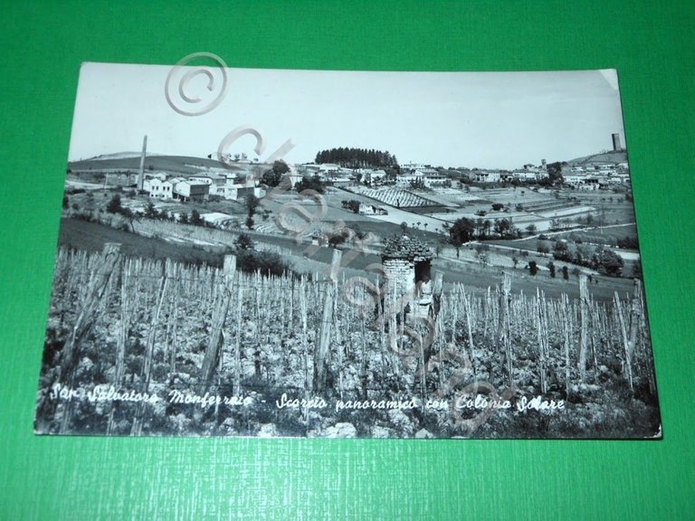 Cartolina San Salvatore Monferrato - Scorcio panoramico con Colonia Solare … | Immagine Gallery 2