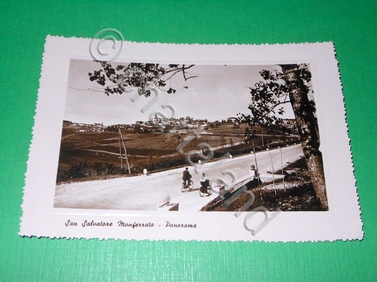 Cartolina San Salvatore Monferrato ( Alessandria ) - Panorama 1950.