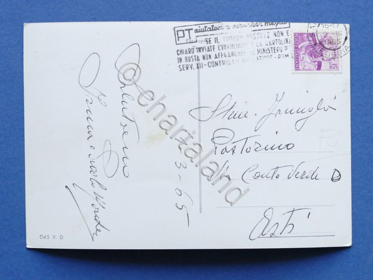 Cartolina San Severo - Teatro Comunale - Notturno - 1965