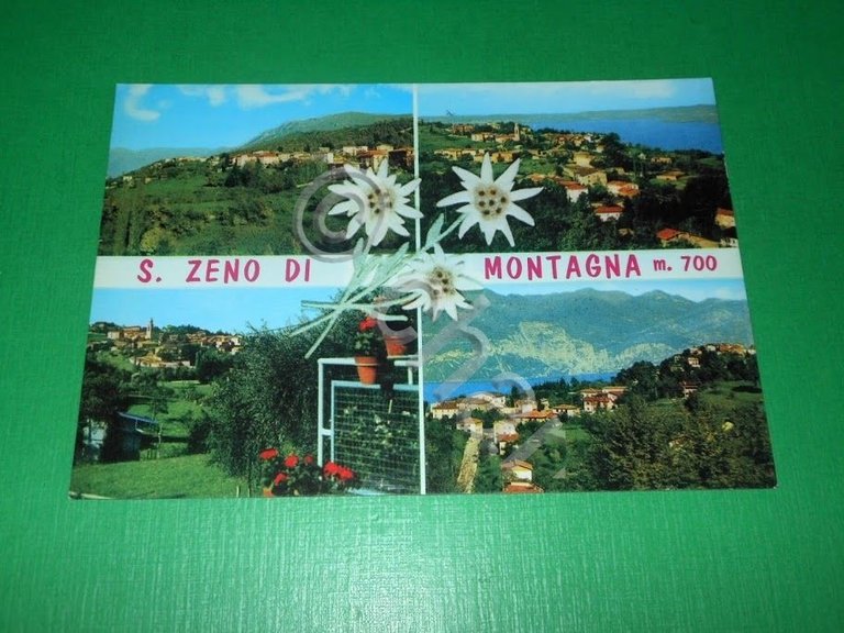 Cartolina San Zeno di Montagna - Vedute diverse 1980 ca