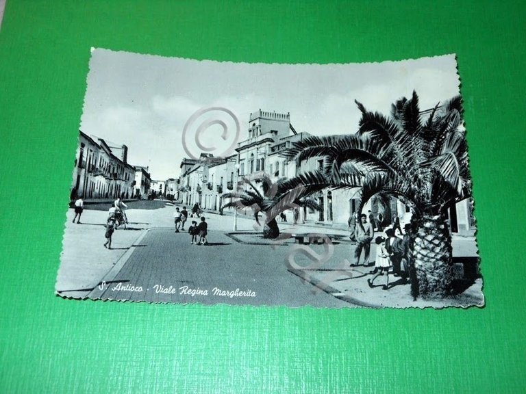 Cartolina Sant'Antioco - Viale Regina Margherita 1954.