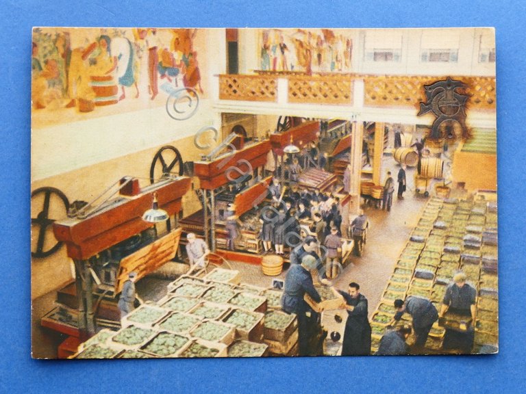 Cartolina Santa Vittoria d'Alba - Stabilimento Cinzano - 1949 ca..