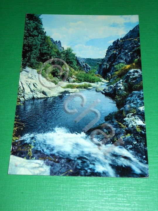 Cartolina Santu Lussurgiu - Valle dei Mulini 1965