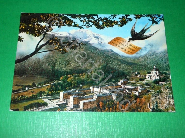 Cartolina Santuario d' Oropa - Veduta generale 1960 ca