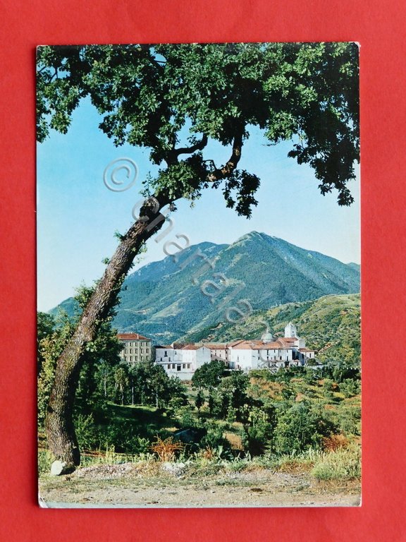 Cartolina Santuario San Gerardo Maiella - Materdomini - 1967.