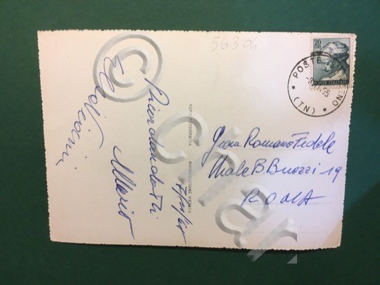 Cartolina Sanzeno - Trentino - 1955