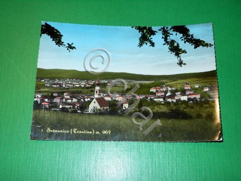 Cartolina Sarnonico ( Trento ) - Panorama 1963