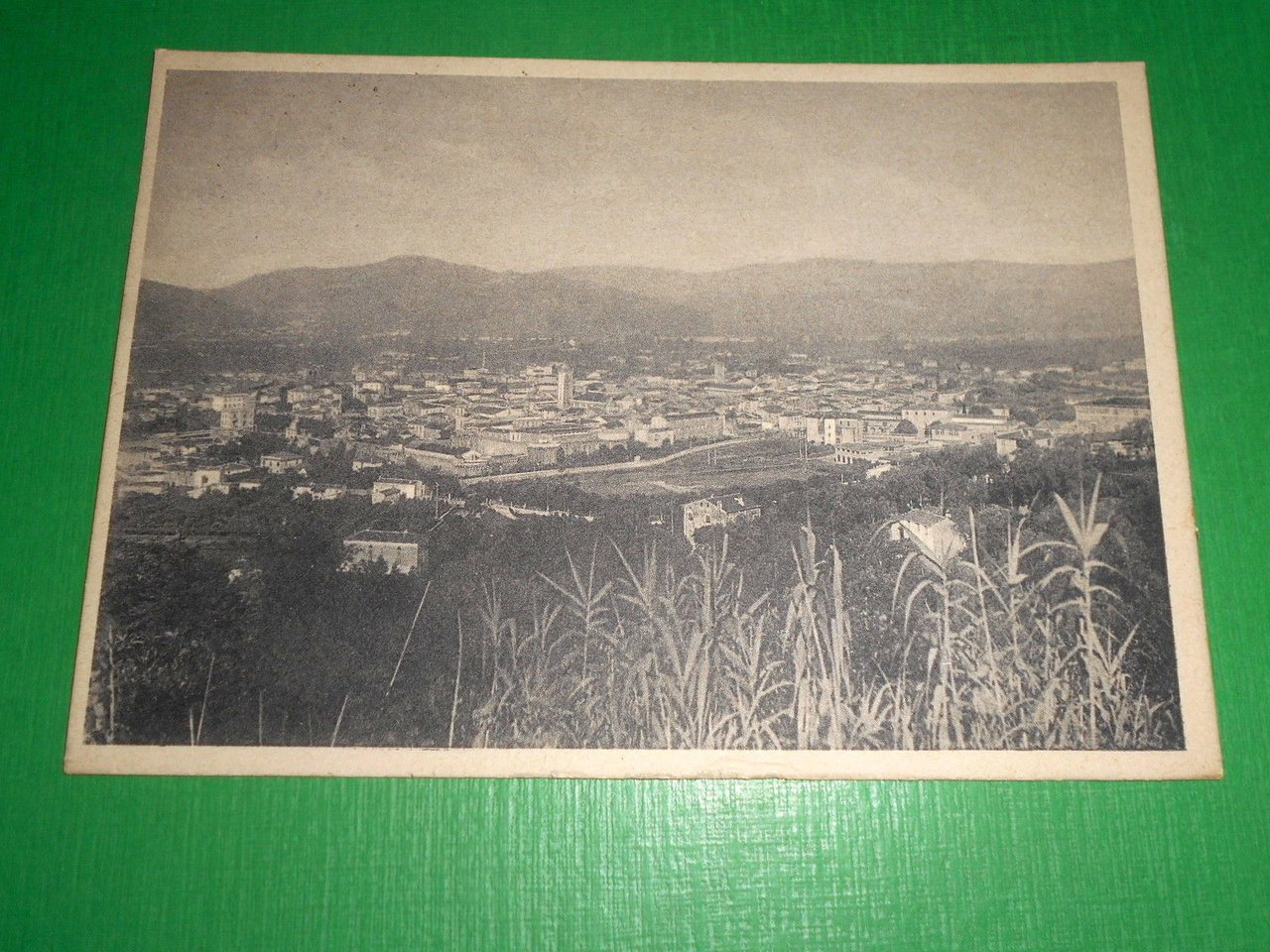Cartolina Sarzana - Panorama 1942.