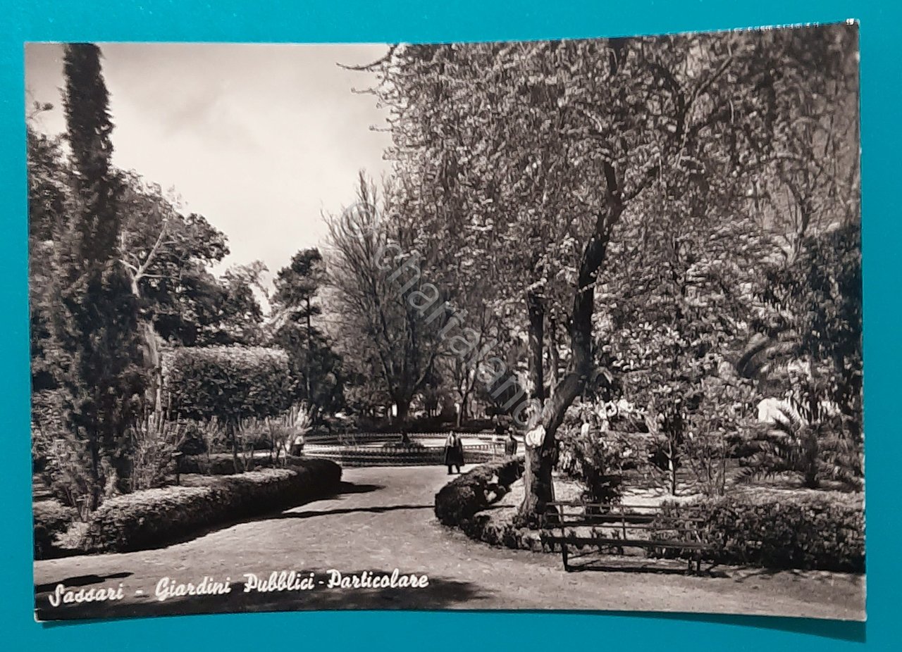 Cartolina Sassari - Giardini Pubblici - Particolare - 1957
