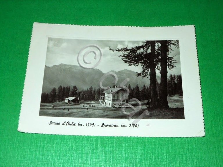 Cartolina Sauze d' Oulx - Sportinia - 1952