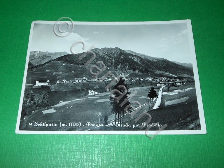 Cartolina Schilpario - Panorama - Strada per Pradella 1955 | Immagine Gallery 2