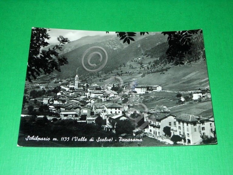 Cartolina Schilpario - Valle di Scalve - Panorama 1952