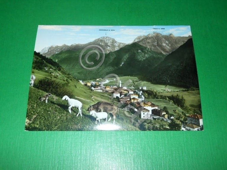 Cartolina Schilpario - Valle di Scalve 1955 ca.