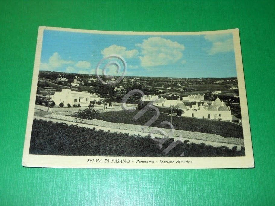Cartolina Selva di Fasano - Panorama 1953.
