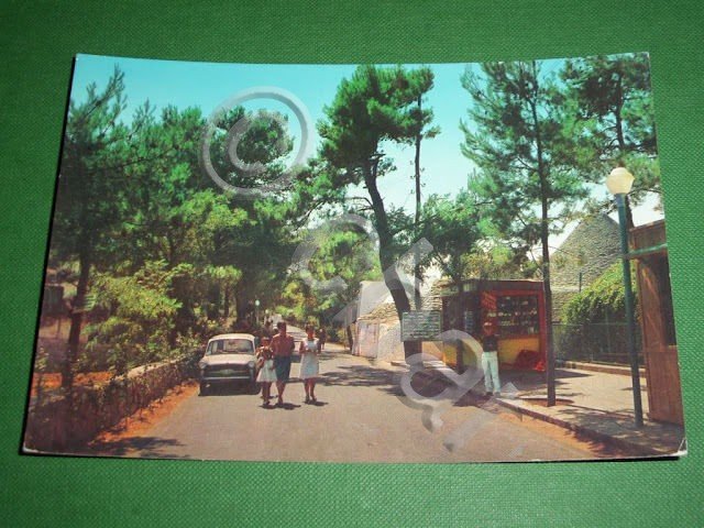 Cartolina Selva di Fasano - Viale Toledo 1960 ca.