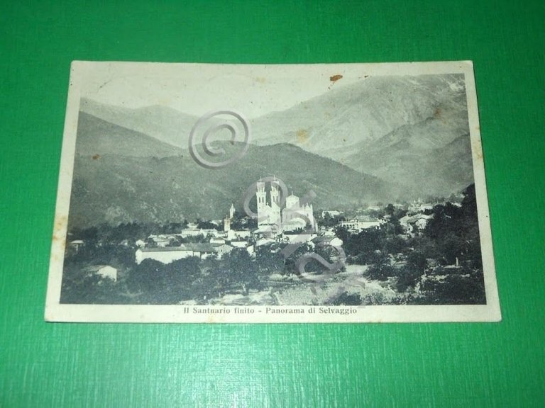 Cartolina Selvaggio - Giaveno - Santuario N. S. di Lourdes …