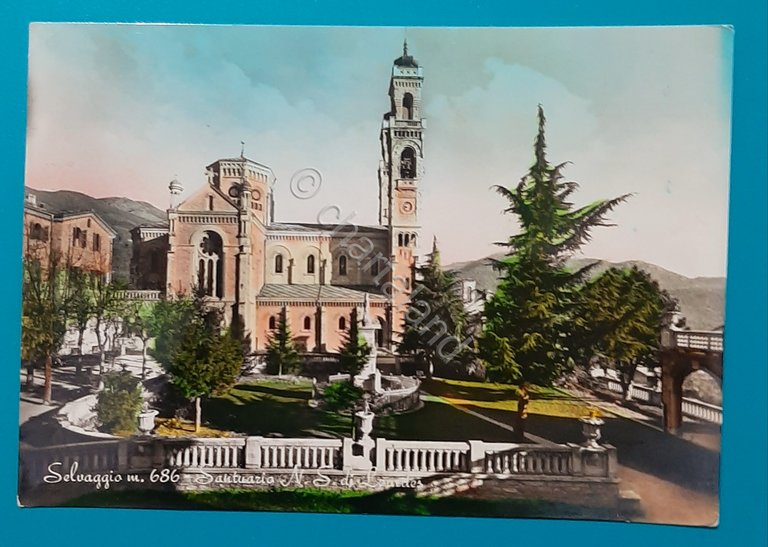 Cartolina Selvaggio - Santuario N. S. di Lourdes - 1955