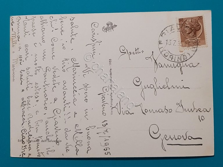 Cartolina Selvaggio - Santuario N. S. di Lourdes - 1955