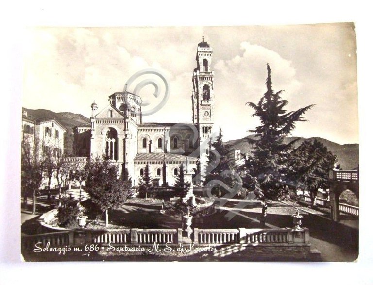 Cartolina Selvaggio - Santuario N. S. di Lourdes 1955 c