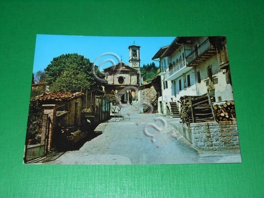 Cartolina Selve Marcone ( Biella ) - Chiesa e Via …