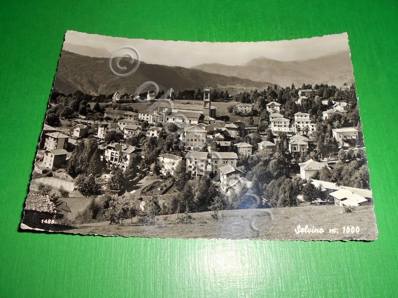Cartolina Selvino - Panorama 1957.