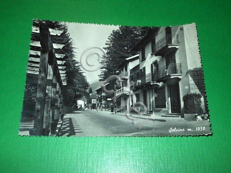 Cartolina Selvino - Particolare 1956