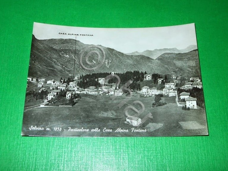 Cartolina Selvino - Particolare colla Casa Alpina Fontana 1955 ca.