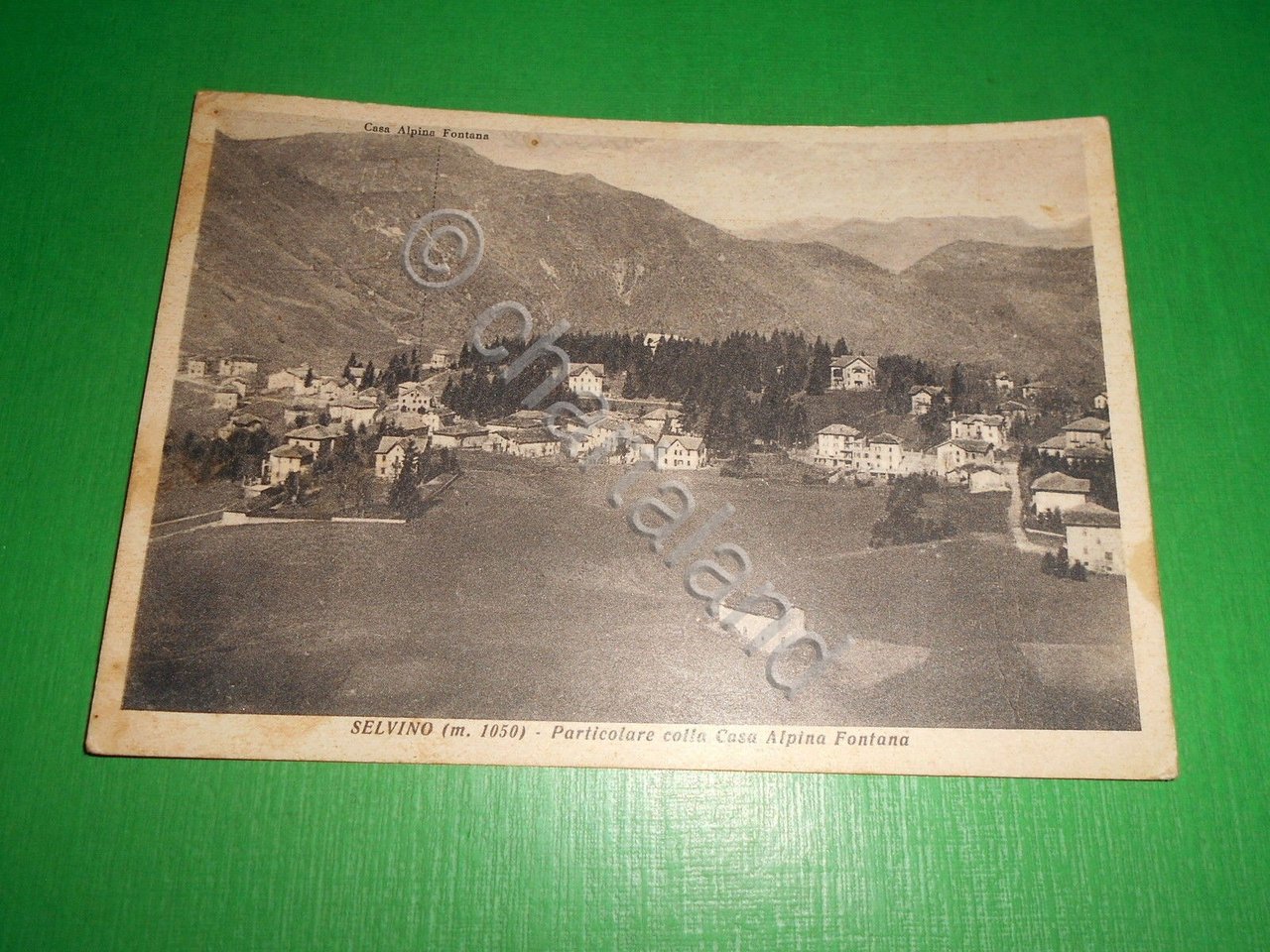 Cartolina Selvino - Particolare con la Casa Alpina Fontana 1950 …