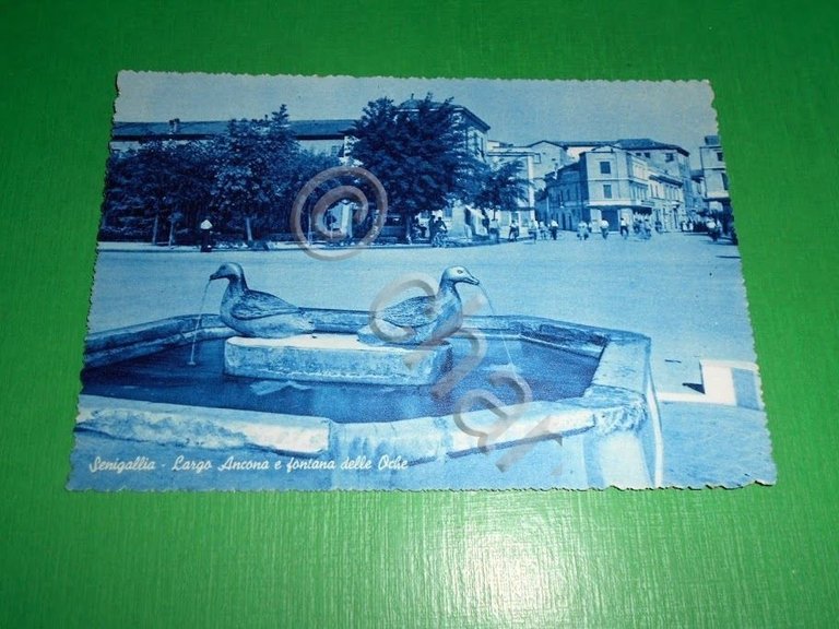 Cartolina Senigallia - Largo Ancona e fontana delle Oche 1950 …