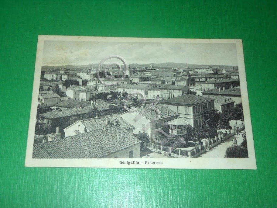 Cartolina Senigallia - Panorama 1929.