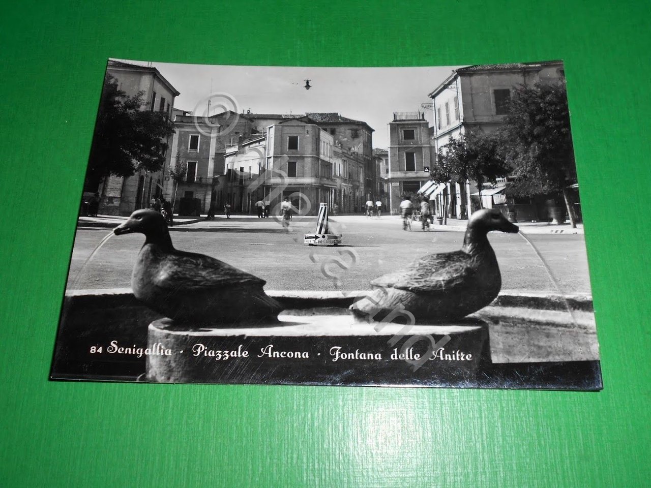 Cartolina Senigallia - Piazzale Ancona - Fontana delle Anatre 1955 …