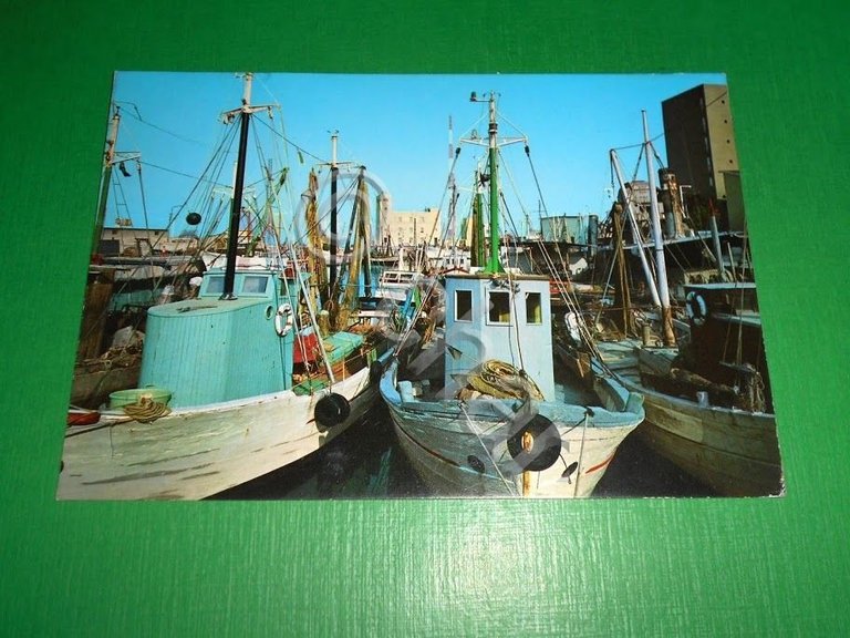 Cartolina Senigallia - Porticciolo 1975