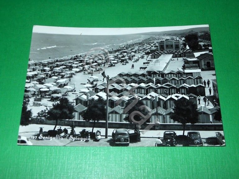 Cartolina Senigallia - Spiaggia 1960