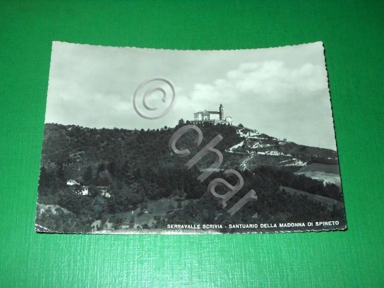 Cartolina Serravalle Scrivia - Santuario della Madonna di Spineto 1954