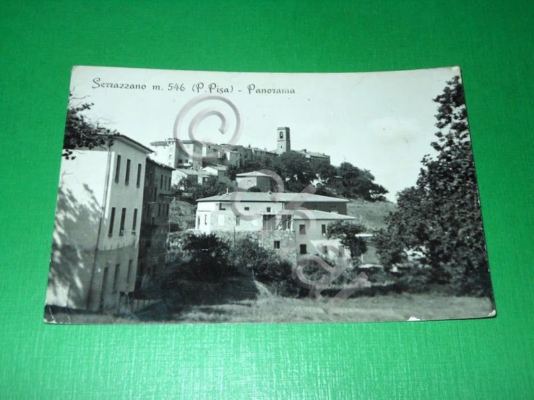 Cartolina Serrazzano ( Pisa ) - Panorama 1957