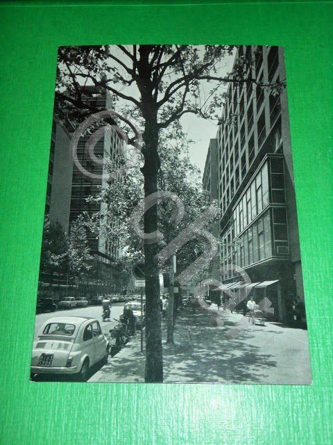 Cartolina Sesto S. Giovanni -- Viale Fratelli Casiraghi 1960 ca.