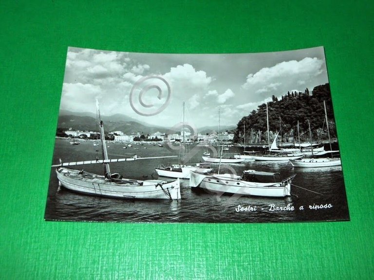 Cartolina Sestri - Barche a riposo 1956