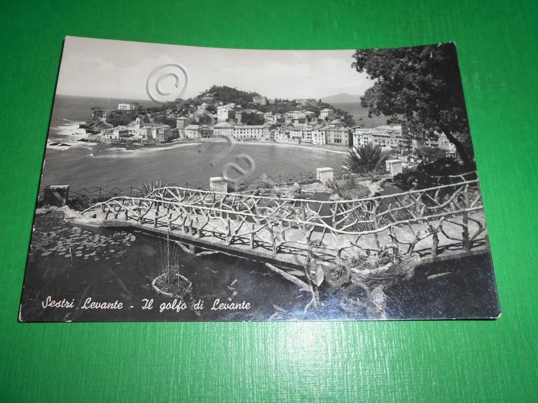 Cartolina Sestri Levante - Il Golfo di Levante 1948.
