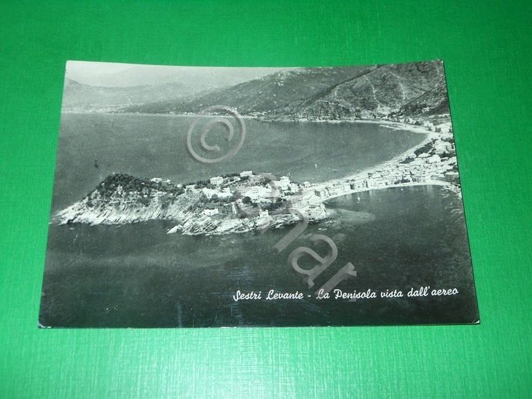 Cartolina Sestri Levante - La Penisola vista dall' aereo 1963 | Immagine Gallery 2