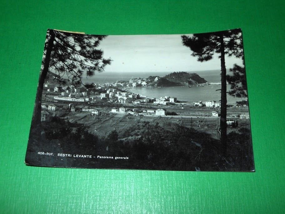 Cartolina Sestri Levante - Panorama generale 1953.