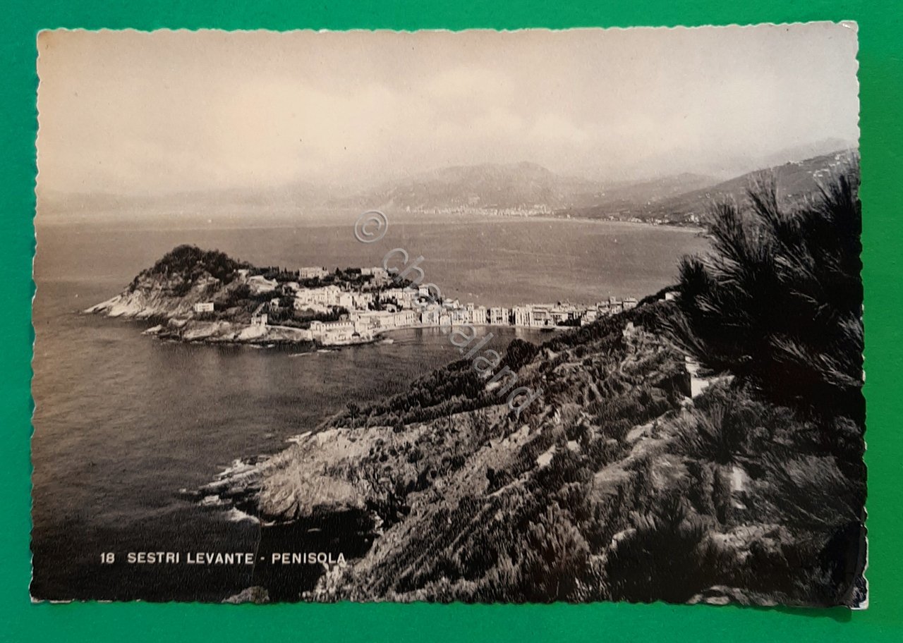 Cartolina Sestri Levante - Penisola - 1962