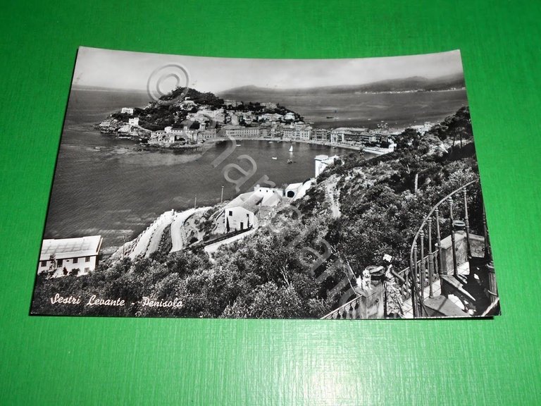 Cartolina Sestri Levante - Penisola 1965
