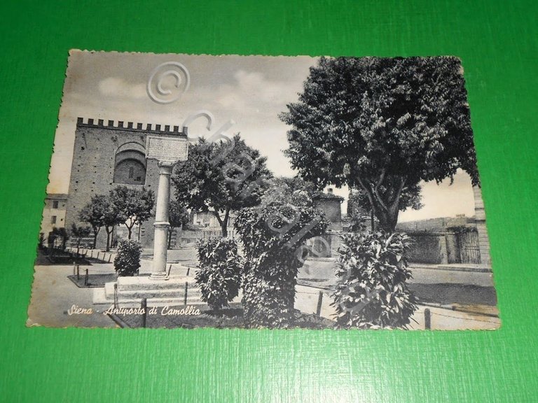 Cartolina Siena - Antiporto di Camollia 1958