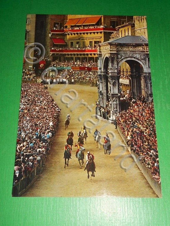Cartolina Siena - Il Palio - La Corsa 1980 ca