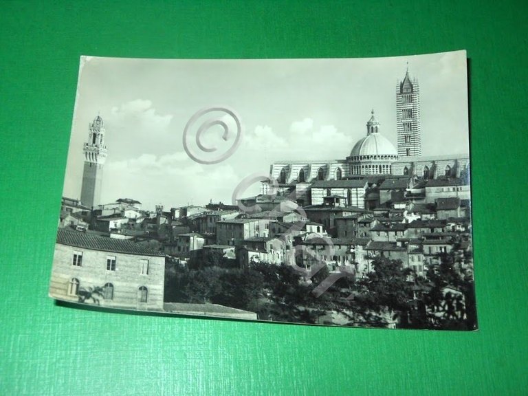Cartolina Siena - Panorama 1955 ca