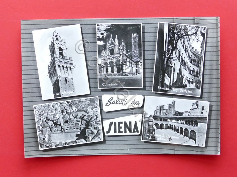 Cartolina Siena - Varie vedute - 1965