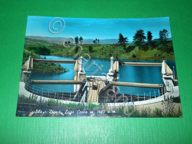 Cartolina Sila - Diga - Lago Cecita 1963